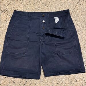 Banana Republic Dark Blue Flat Front Shorts